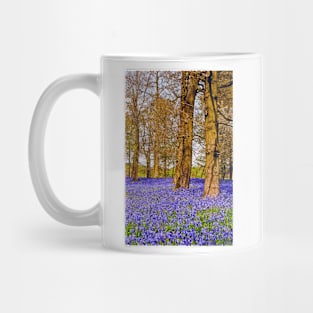 Bluebell Woods Greys Court England UK Mug